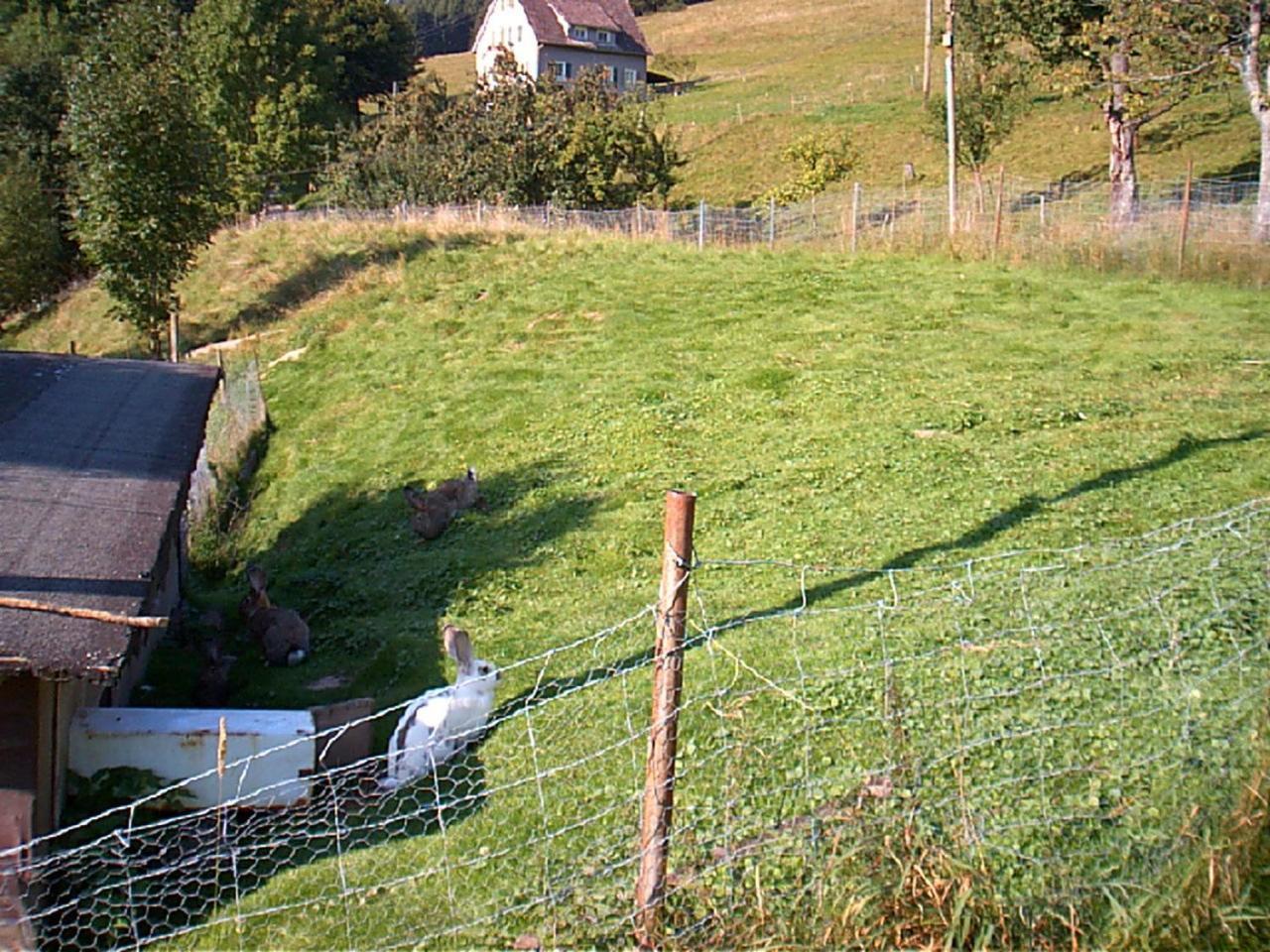 Gasthof Erlenhof Alpirsbach Exterior photo